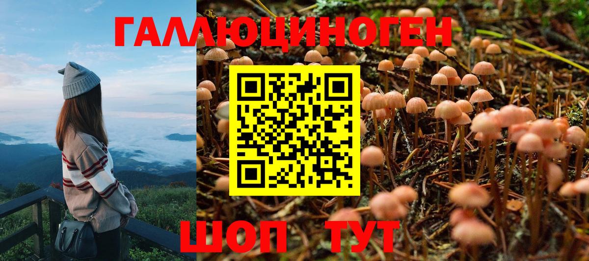 Истра  Псилоцибиновые грибы мицелий  Вход с VPN 