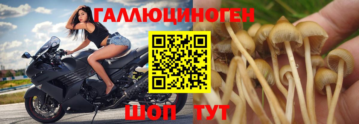 Псилоцибиновые грибы Magic Shrooms Истра